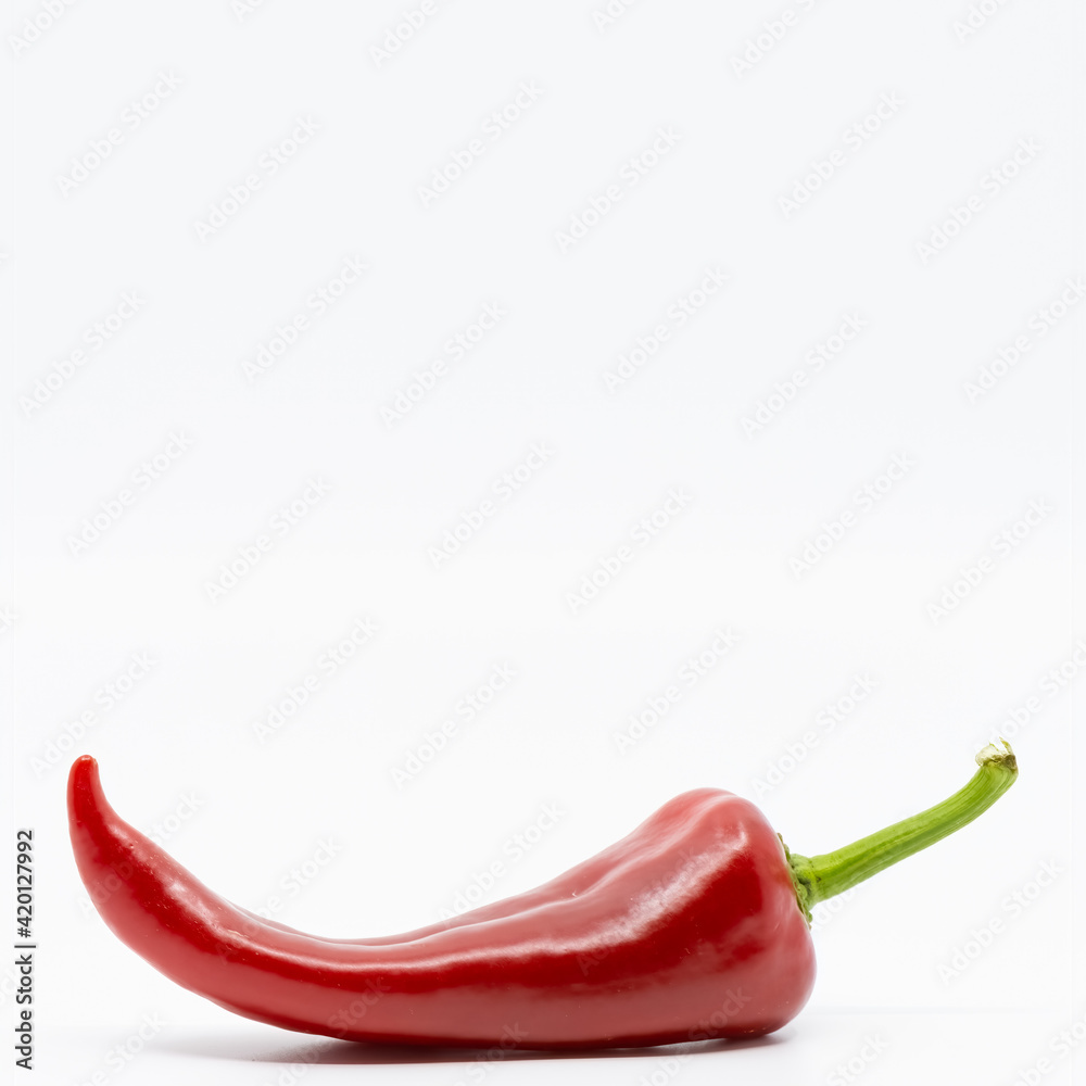 Fresh Sweet Red Pepper Isolated on White Background Fresh Sweet Red Pepper Isolated on White Background