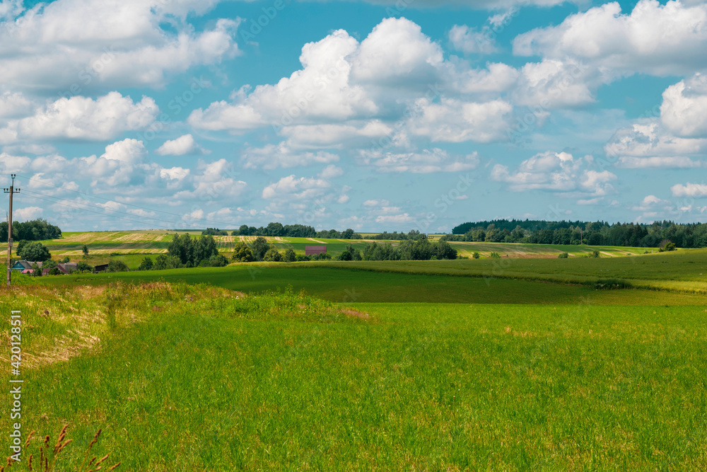 Beautiful landscape view on summer day. Private wooden houses between green forest trees. Nature in summer Beautiful landscape view on summer day. Private wooden houses between green forest trees. Nature in summer