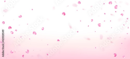 Rose Petals Falling Confetti. Beautiful Rich VIP Tender Pattern.