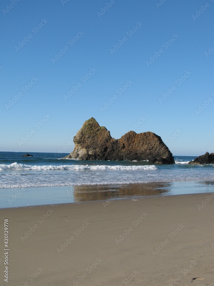 Fototapeta premium Oregon shore