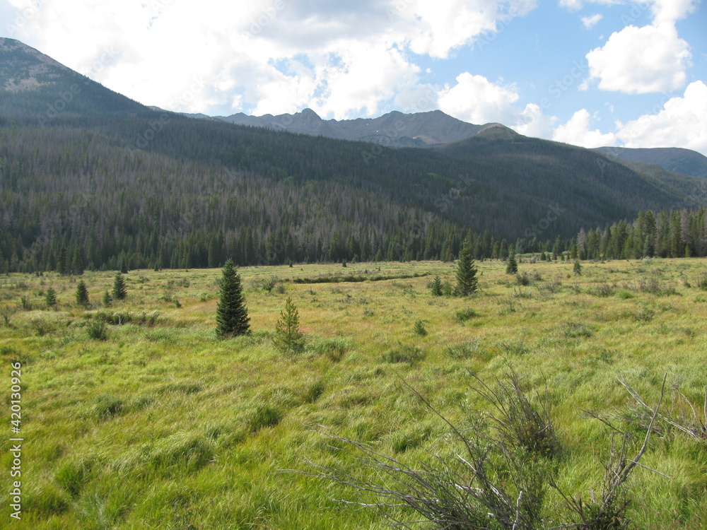 Rocky Mountain field