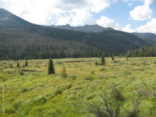 Rocky Mountain field