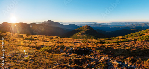 Panoramic view of mountain peaks during summer sunrise © WellStock