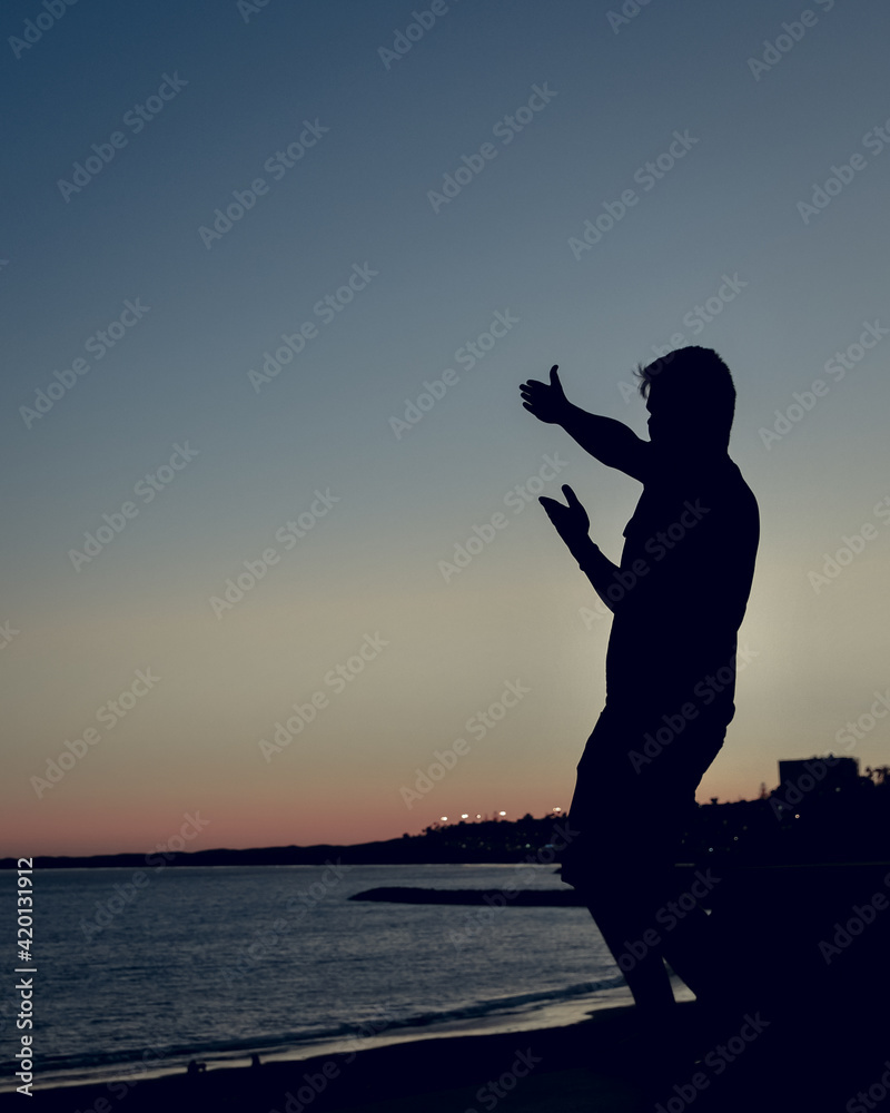 Silhouette of person standing on the edge near the ocean