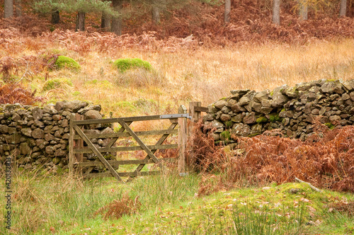Five bar gate in a dry stone wall 9987