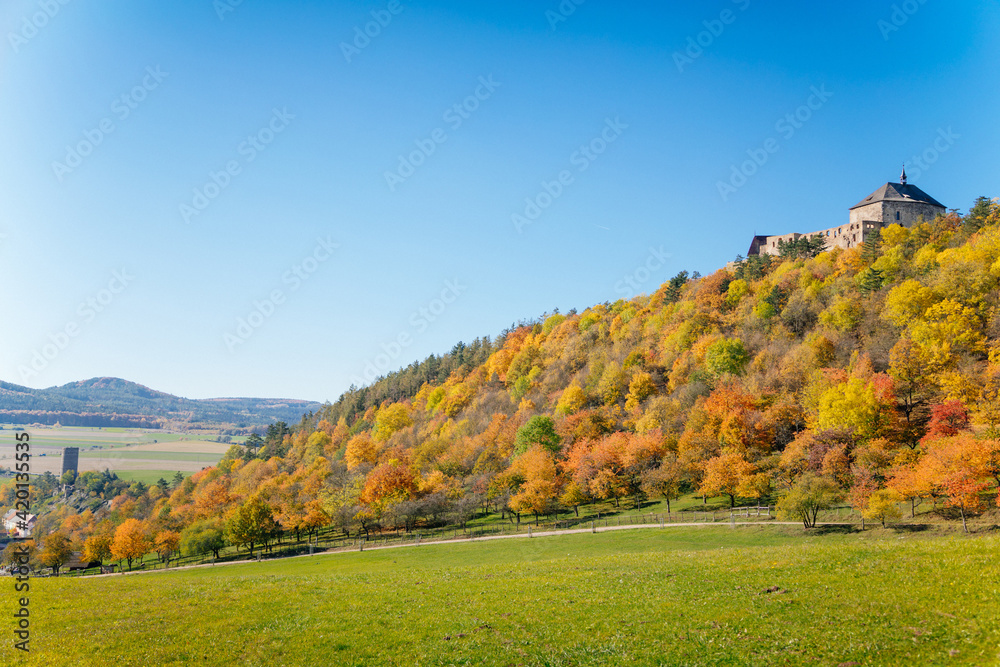 Scenic view of ancient ruins of gothic and renaissance medieval royal castle, autumn landscape, sunny day, fortresses on hill, Zebrak, Tocnik, Central Bohemia, Czech Republic Scenic view of ancient ruins of gothic and renaissance medieval royal castle, autumn landscape, sunny day, fortresses on hill, Zebrak, Tocnik, Central Bohemia, Czech Republic