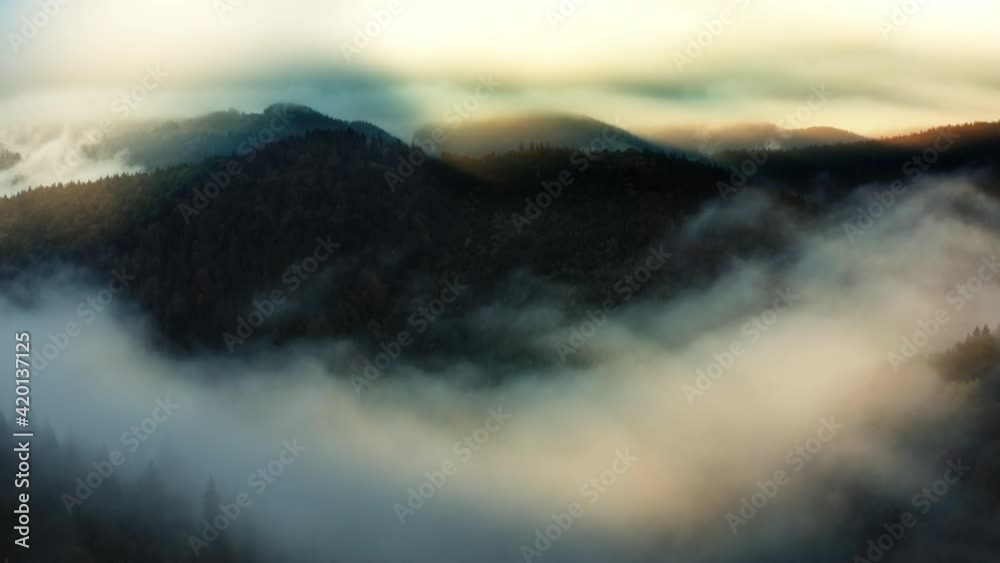 Nature fog sun rainy weather mountains forest Nature fog sun rainy weather mountains forest