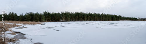 The forest lake is covered with snow-covered broken ice. Layers of cracked ice on a body of water. Early spring in a coniferous forest. Nature panorama