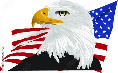 Bald Eagle Portait with flag