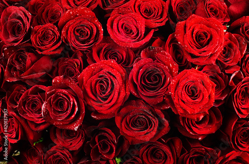 collection of red roses with dew