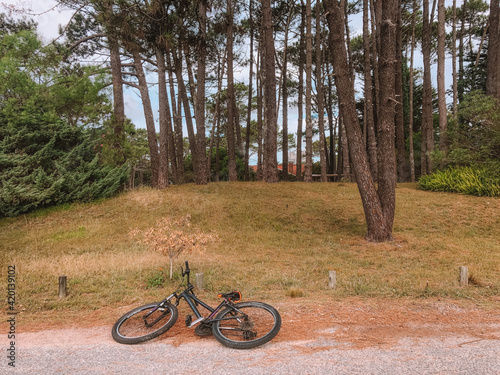 Freedom on two wheels