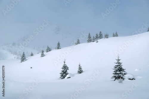 Winter in Godeanu Mountains, Carpathians, Romania, Europe