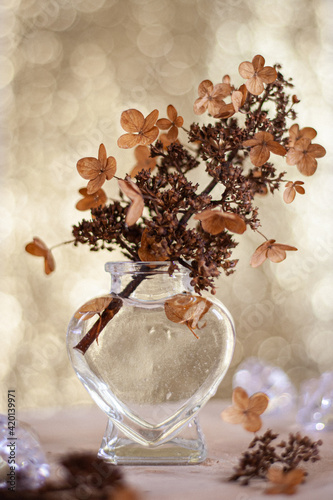 Sprig of dry Hydrangea in a little glass vase and golden bokeh photo