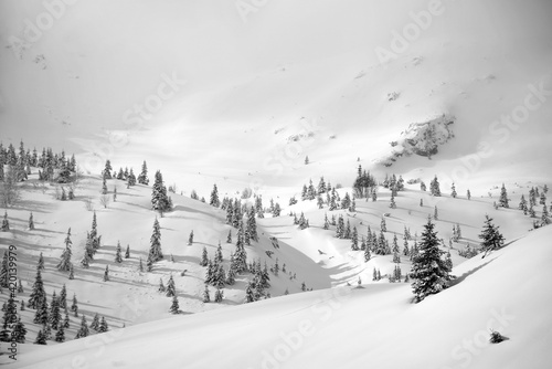 Winter in Godeanu Mountains, Carpathians, Romania, Europe © Rechitan Sorin
