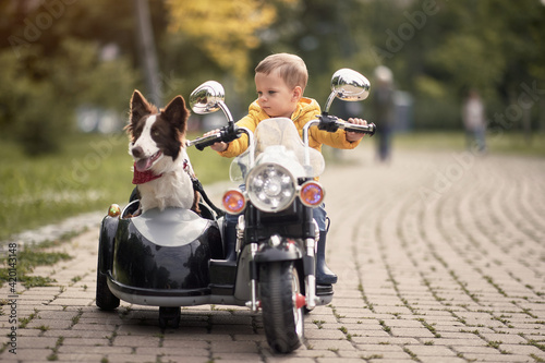 caucasian little boy  driving dog in sidecar of a motorcycle replica in a park
