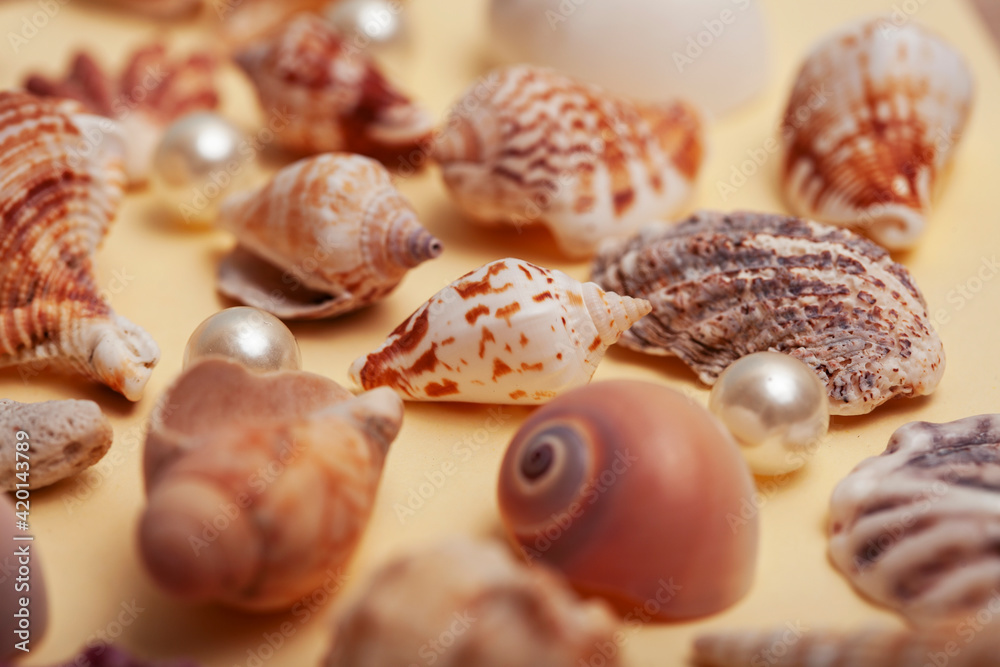 a lot of different empty sea shells on yellow background, macro details a lot of different empty sea shells on yellow background, macro details