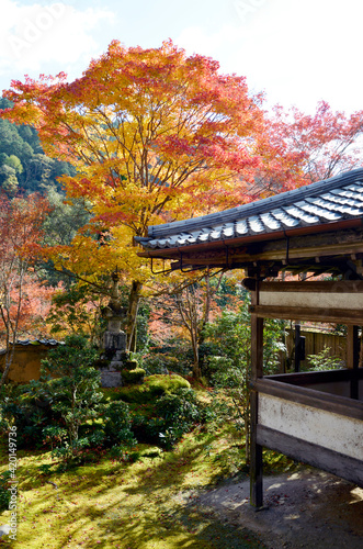 秋の西明寺 紅葉の庭園 京都市