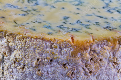 Top edge of a large truckle of stilton cheese.