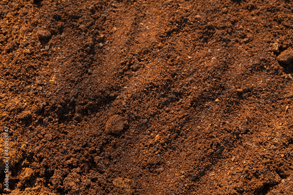 Photo of Top view close up Fresh coffee ground powder with sunlight texture background.