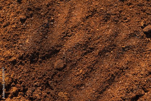 Photo of Top view close up Fresh coffee ground powder with sunlight texture background.