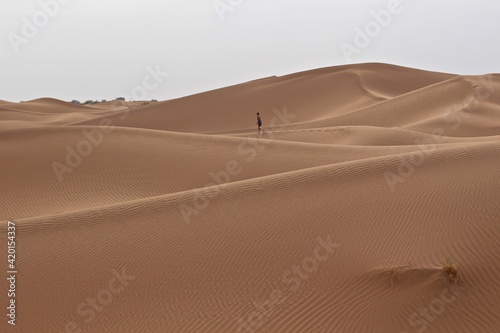 Dunes of Sahara  Morocco  Northern Africa 