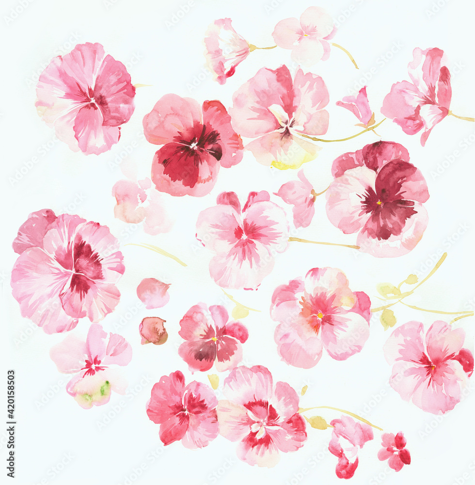 
Flowers watercolor illustration.Manual composition.Big Set watercolor elements，Design for textile, wallpapers，Element for design,Greeting card