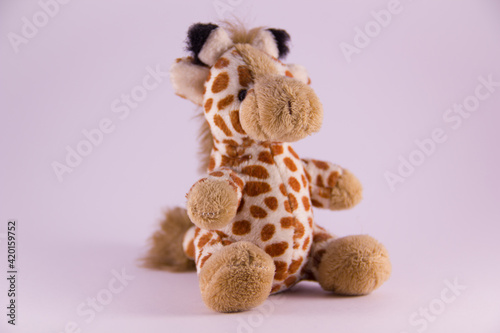 Canvas Print cuddly giraffe toy