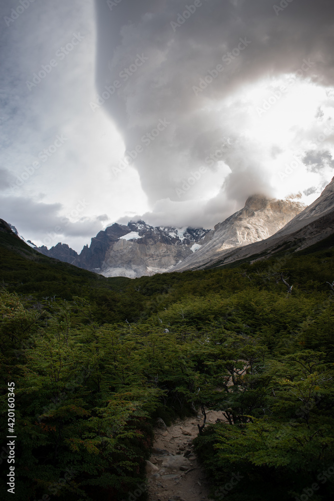 Fototapeta premium A path that leads to a beautiful valley, between forest and mountains, in Torres del Paine National Park, Chile