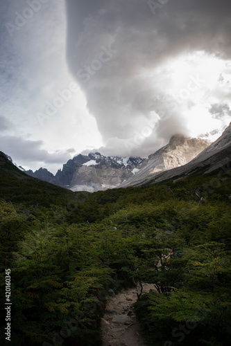 A path that leads to a beautiful valley, between forest and mountains, in Torres del Paine National Park, Chile