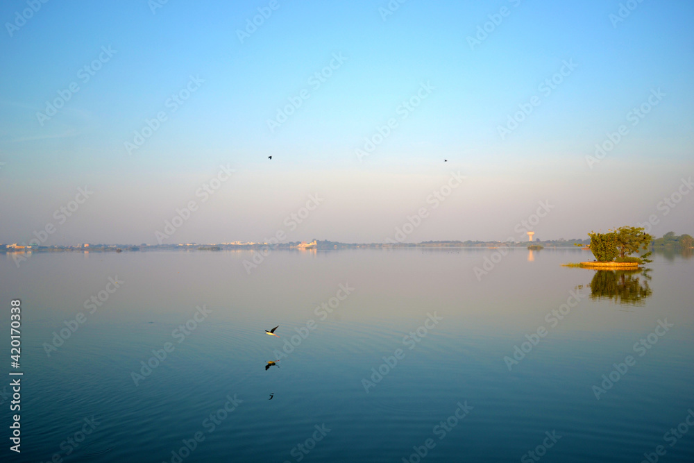 Tree in a Lake at Dawn