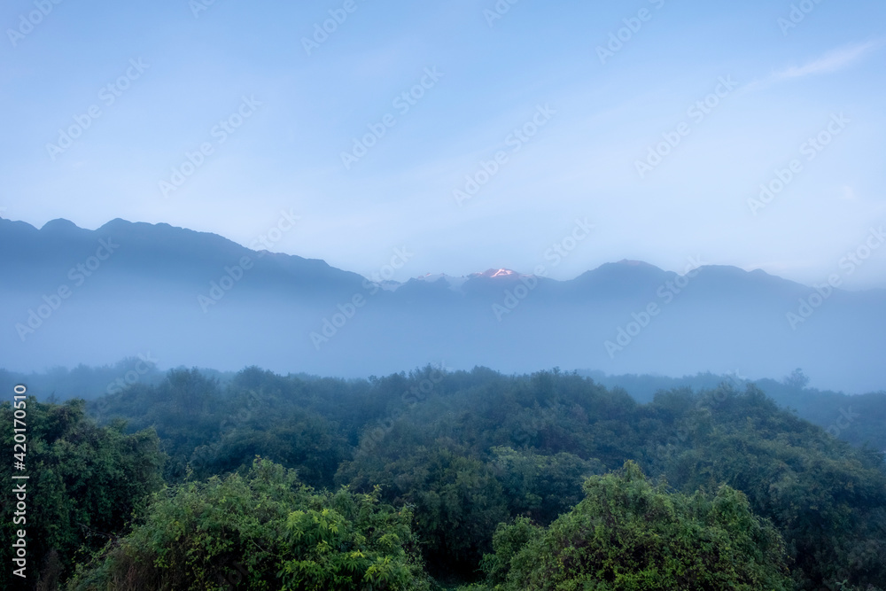 Morning mist over the native forest. South Island, New Zealand.