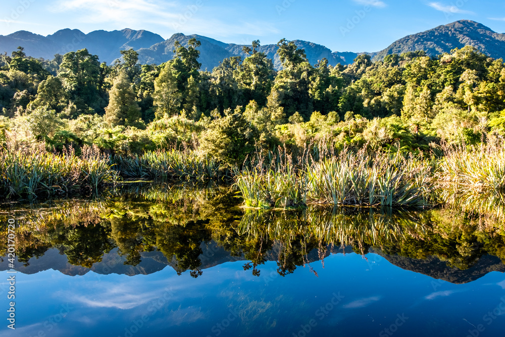 Beautiful mirror lake in the middle of native forest. South Island, New Zealand.