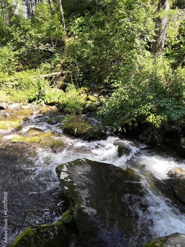 waterfall in the forest