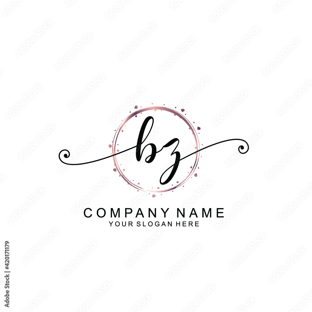 BZ beautiful Initial handwriting logo template BZ beautiful Initial handwriting logo template