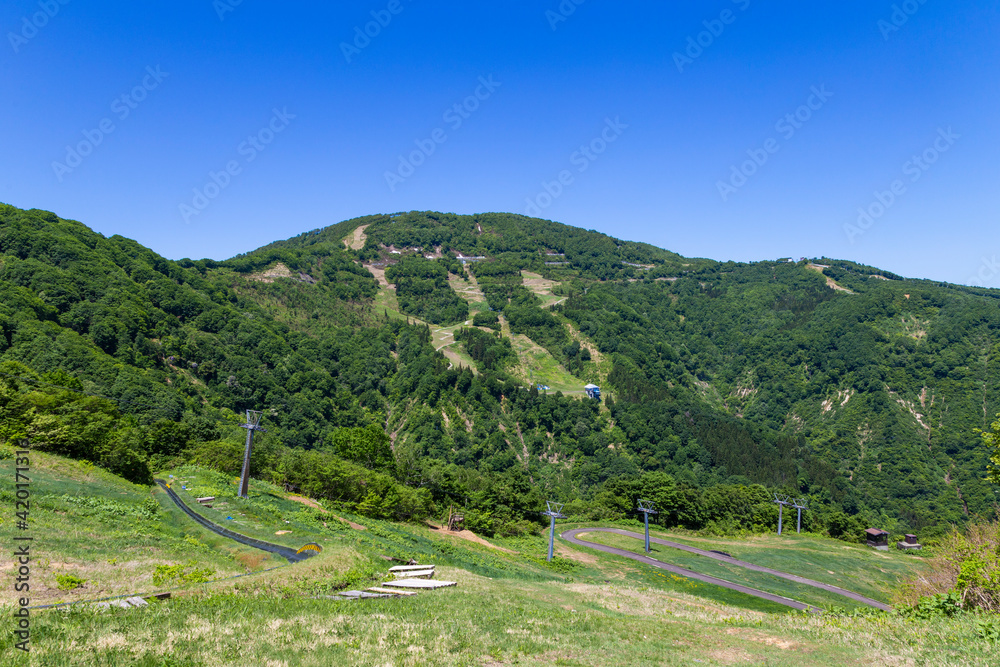 Scene of Echigo Yuzawa city and mountain ranges in summer, views from Yuzawa Kogen.
