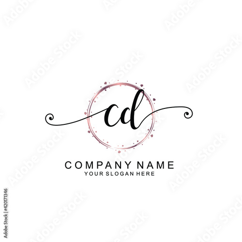 CD beautiful Initial handwriting logo template