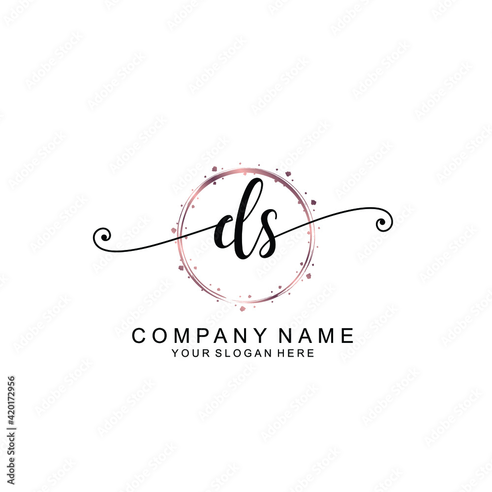 DS beautiful Initial handwriting logo template