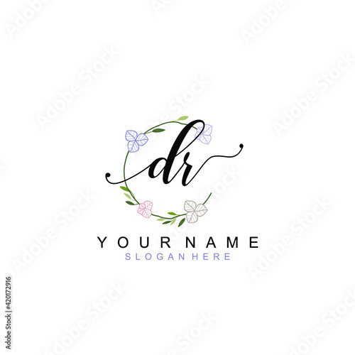 DR beautiful Initial handwriting logo template