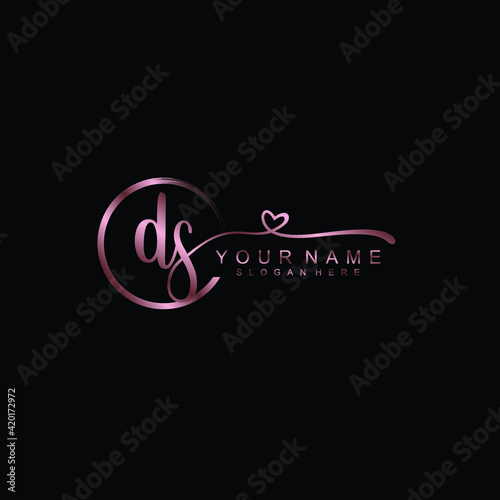 DS beautiful Initial handwriting logo template