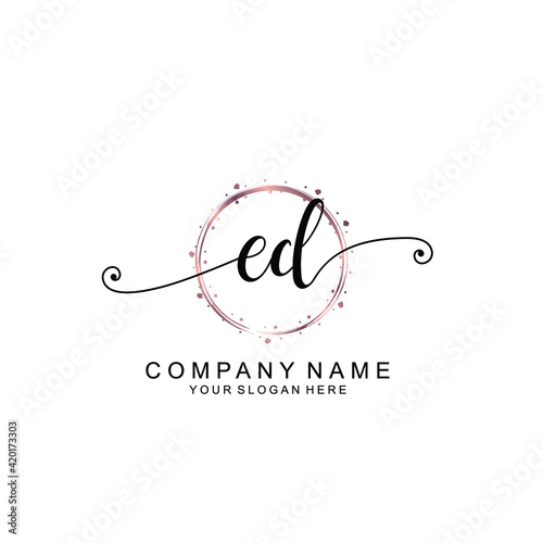 ED beautiful Initial handwriting logo template