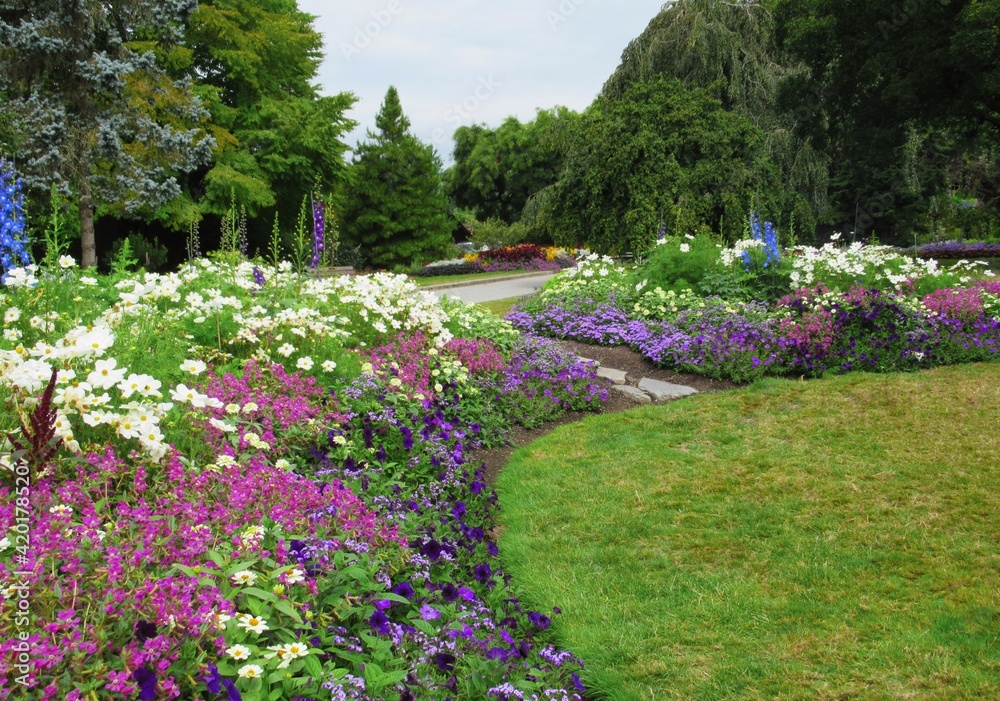 Obraz premium Colourful mixed flowers bed at perennial garden