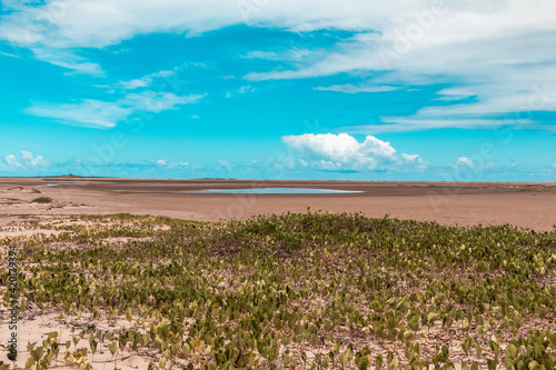 Praia paradis  aca  Ilha de Gor    Aracaj    Sergipe. 