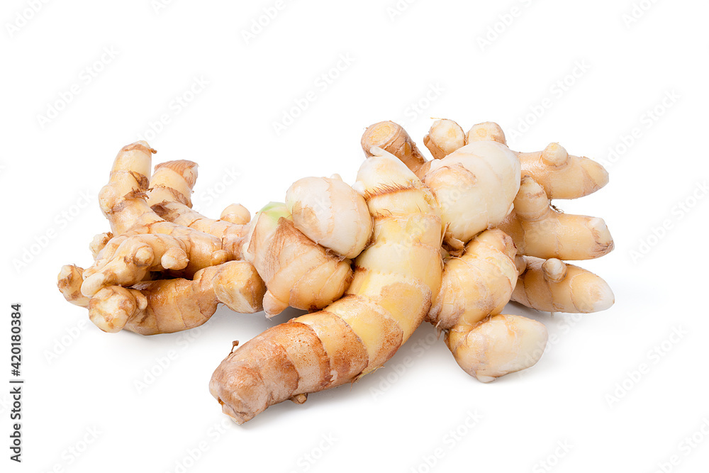 white turmeric root on white background.