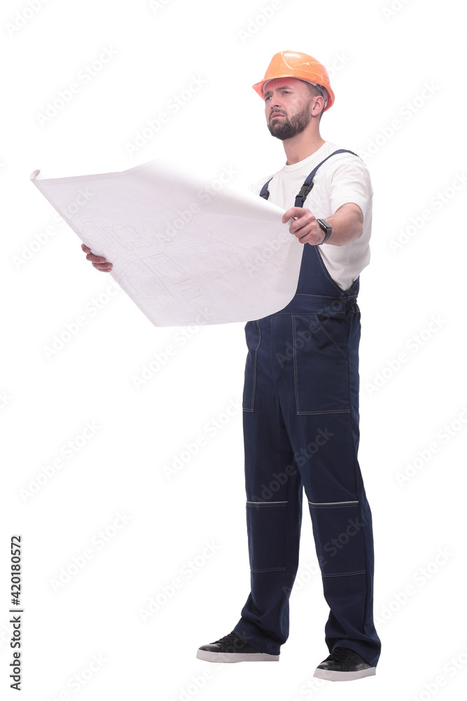 competent foreman Builder looking at drawings. isolated on white competent foreman Builder looking at drawings. isolated on white
