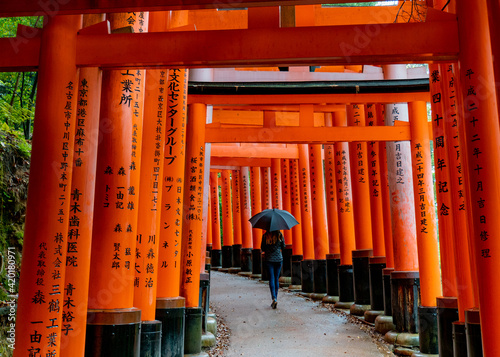 Japan - Through the Fushimi Inari Shrine Adventure Travel