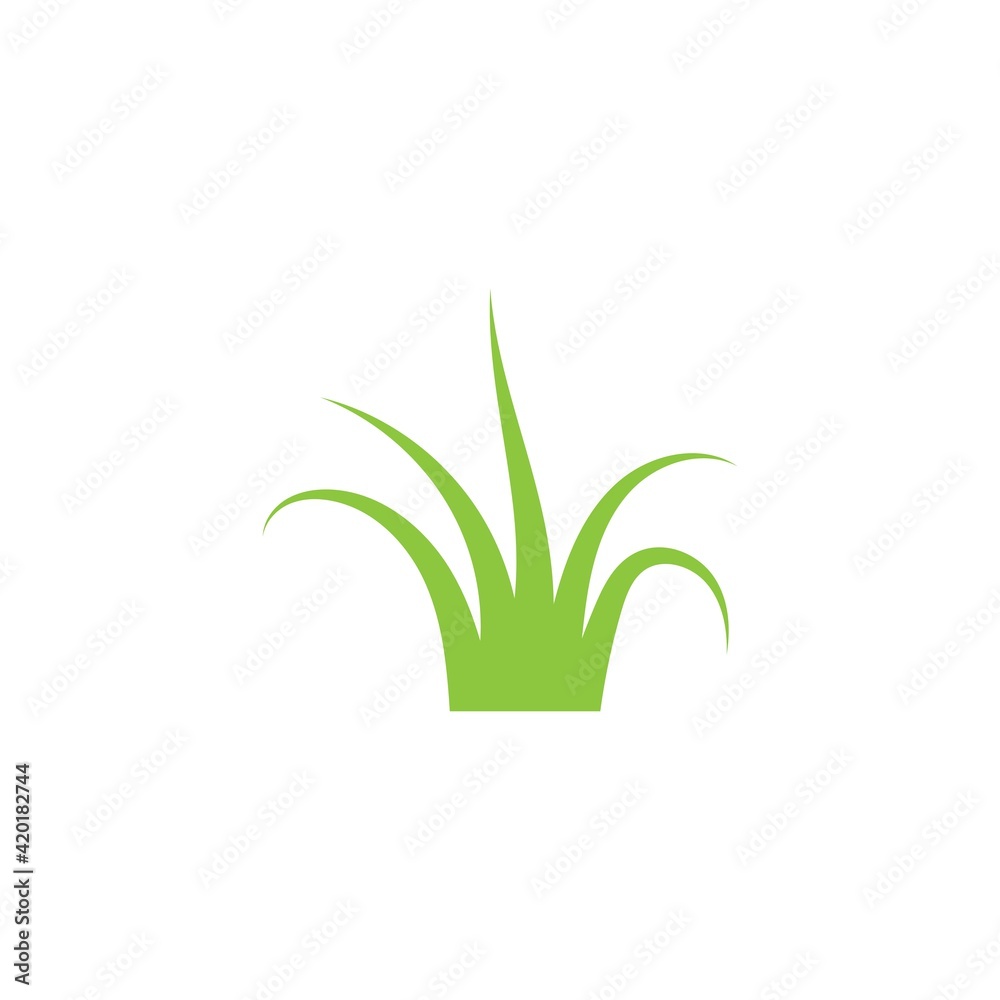 Fototapeta premium grass