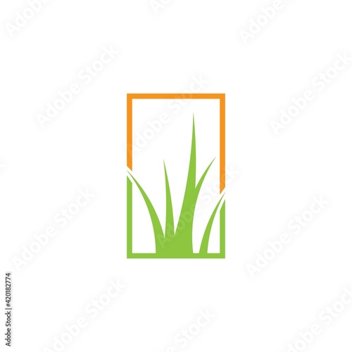 grass