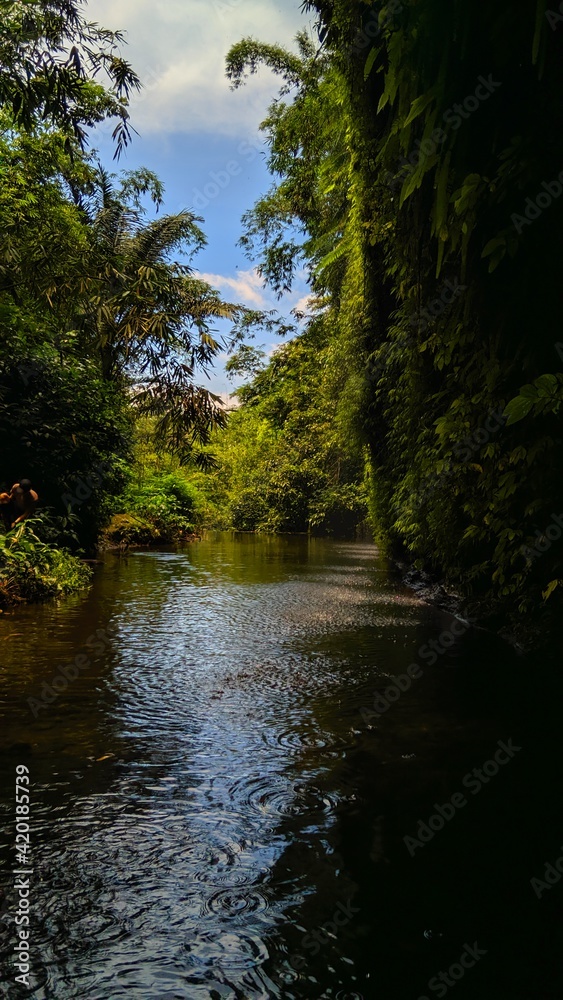 A charm that is in the green forest