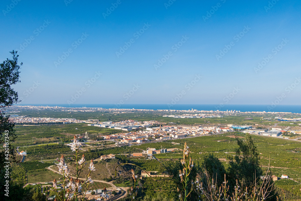 Aerial view of orange groves, with some buildings and the Mediterranean Sea in the background, on a day with blue skies.