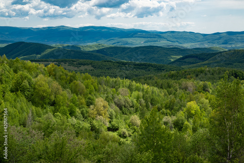 Travel landscape. Hill or mountain coutntryside. Grassy scenic view. Wood at nature panorama.